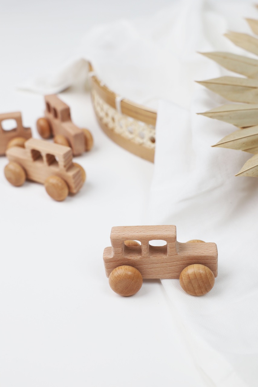 let's make Bio Baby Push Car Holzspielzeug 2pc Holzauto und feine
